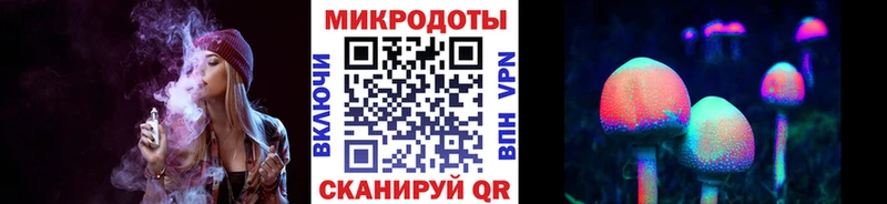 mega ТОР  shop какой сайт  Псилоцибиновые грибы GOLDEN TEACHER  Чкаловск 